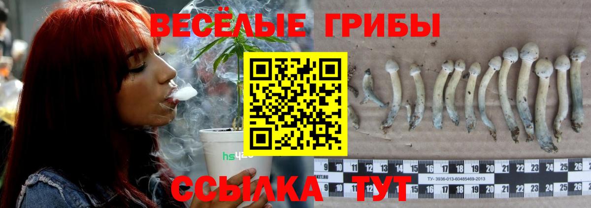 Галлюциногенные грибы ЛСД Горячий Ключ